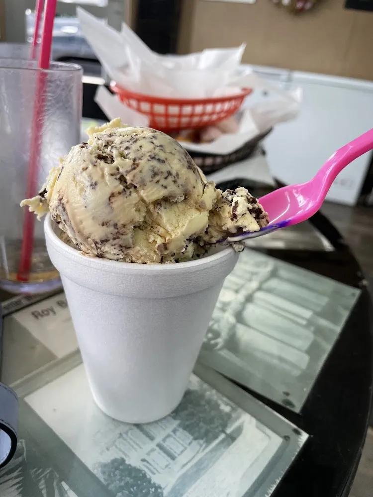 Turtle Ice Cream